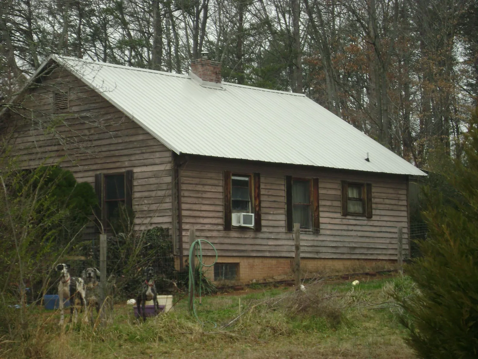 White metal roof on an old wood sided farmhouse, from a Asphalt Shingle Roof Repair job in Asheville